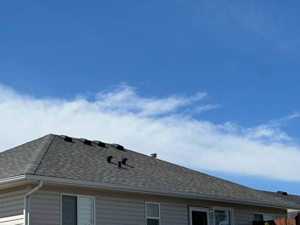 Best Roof Maintenance and Cleaning  in Orting, WA